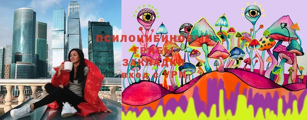 ПСИЛОЦИБИНОВЫЕ ГРИБЫ Алзамай