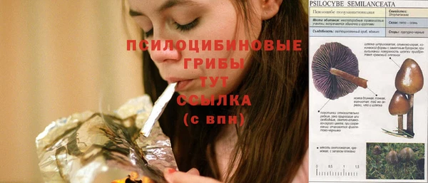 mdpv Алексин